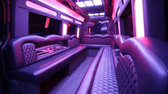 bremerton sprinter limo rental rental